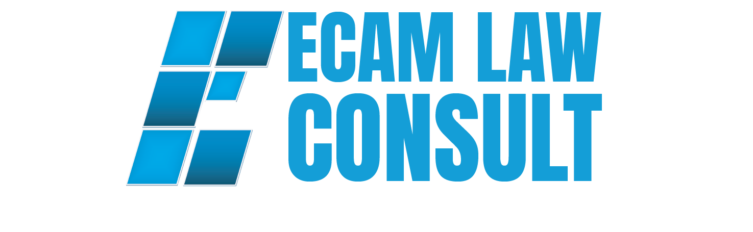 ECAM LAW logo 01